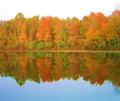 I took this shot over a remote pond during a fall foalage flight. the colors are real